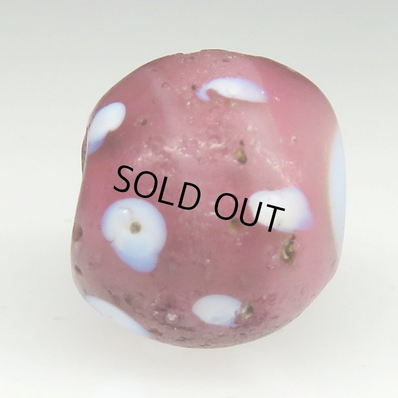 画像3: ピンクパープルスカンク (3)