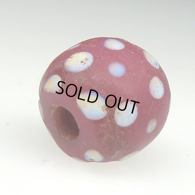 画像4: ピンクパープルスカンク (4)