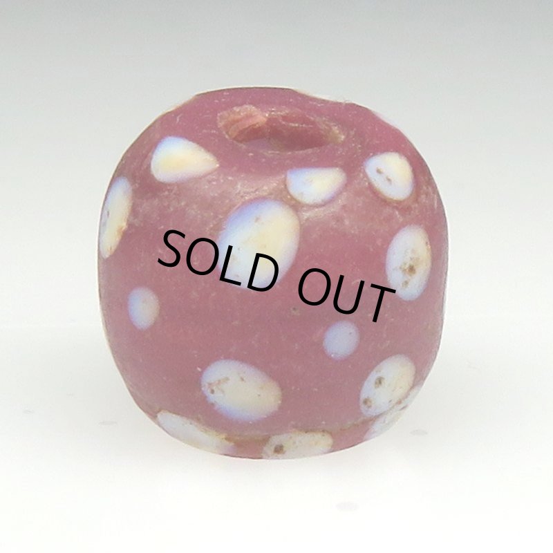 画像2: ピンクパープルスカンク (2)