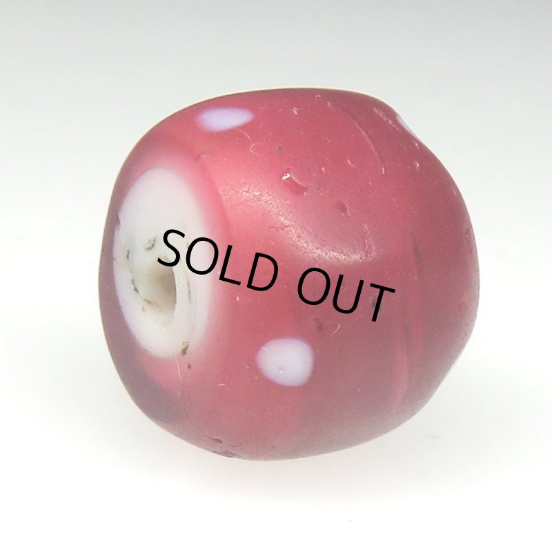 画像4: 研磨ワインレッドのスカンク (4)