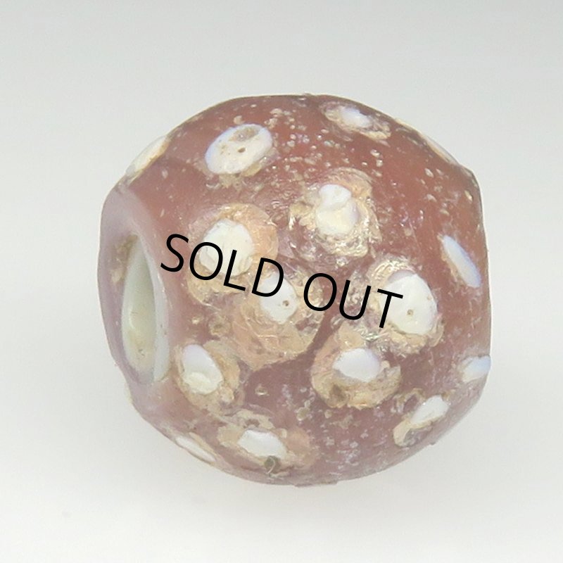 画像3: 風化渋色レッドスカンク (3)