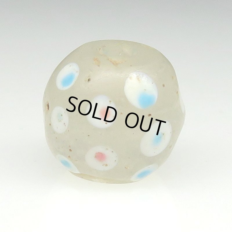 画像1: ホワイトスカンク (1)