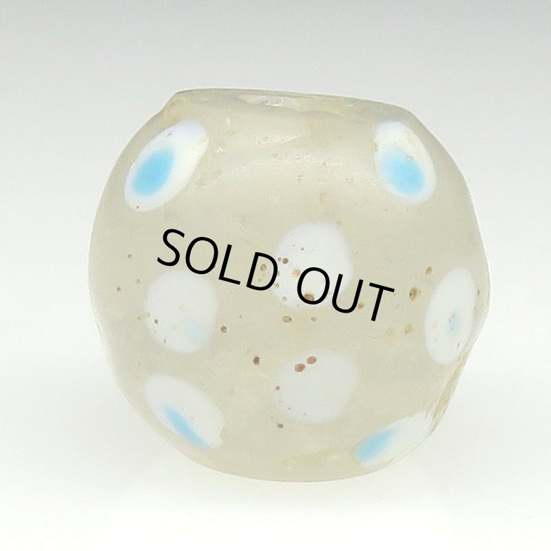 画像2: ホワイトスカンク (2)