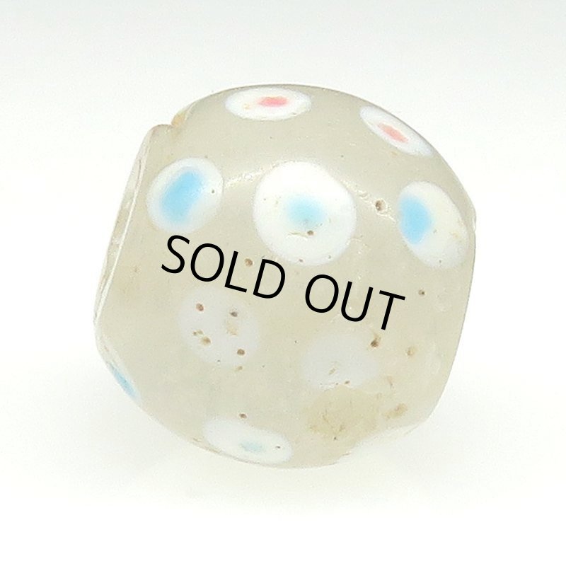 画像3: ホワイトスカンク (3)