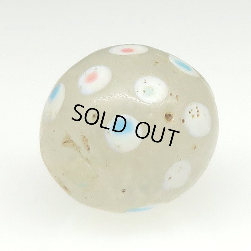 画像4: ホワイトスカンク (4)