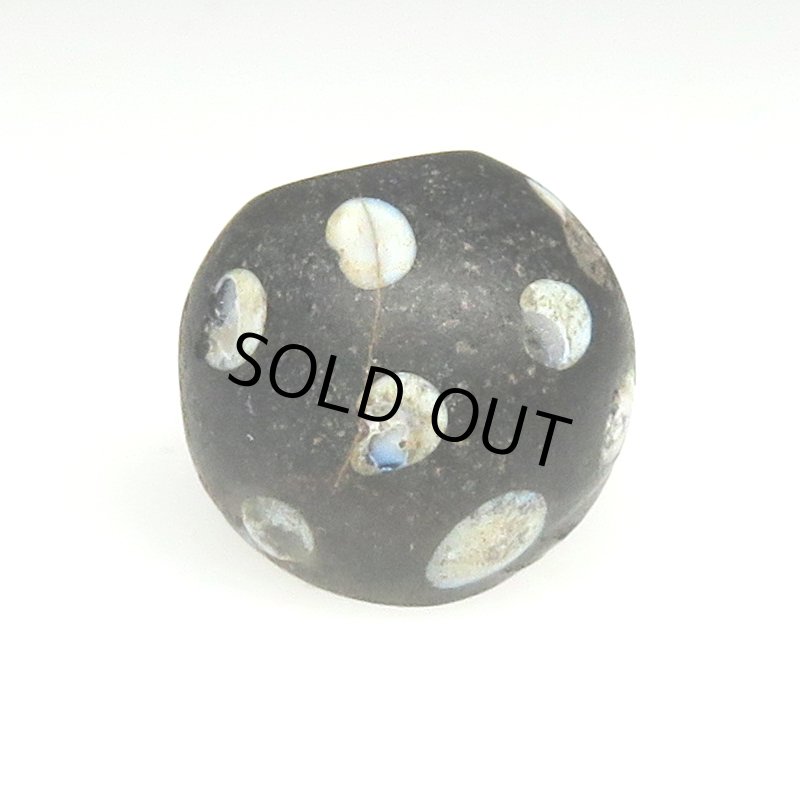 画像1: ブラックスカンク (1)