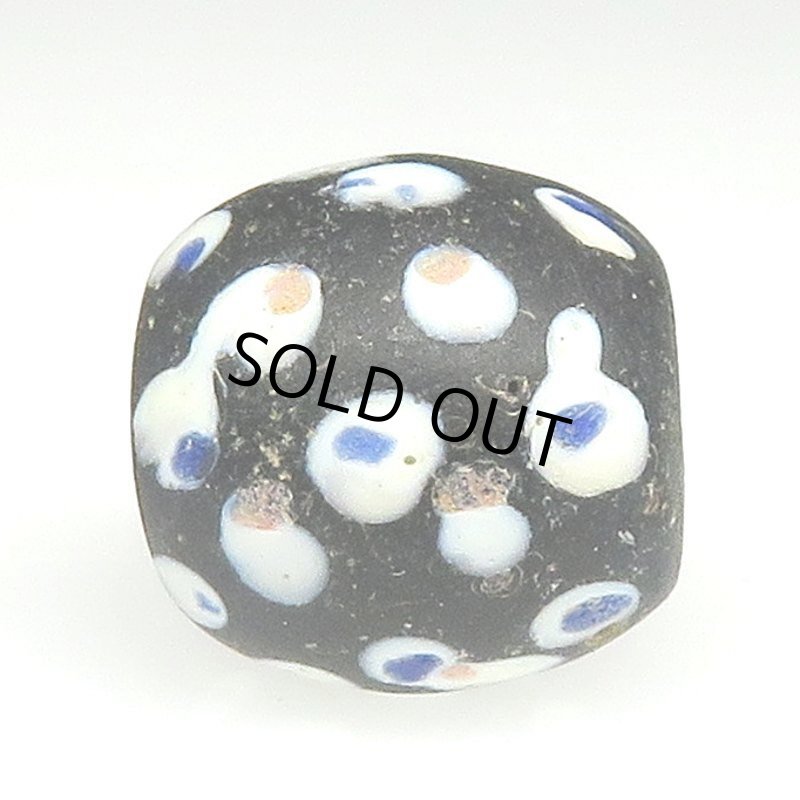 画像3: 美紺ドットのブラックスカンク (3)