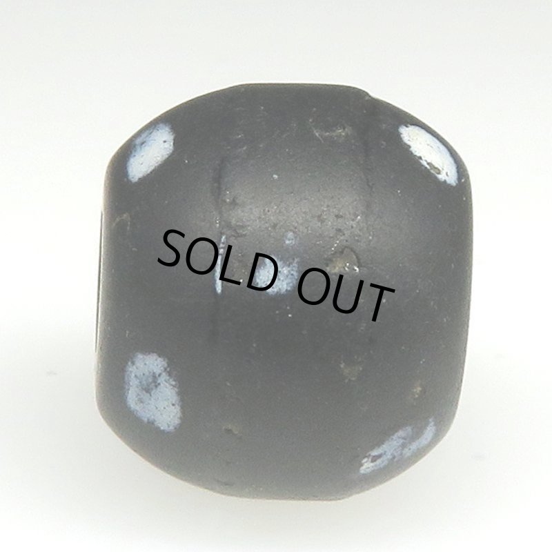 画像3: フレンチスカンク黒 (3)