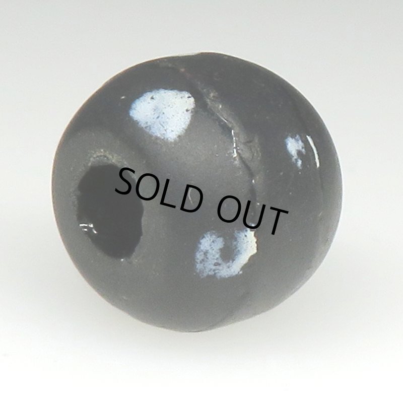 画像4: フレンチスカンク黒 (4)