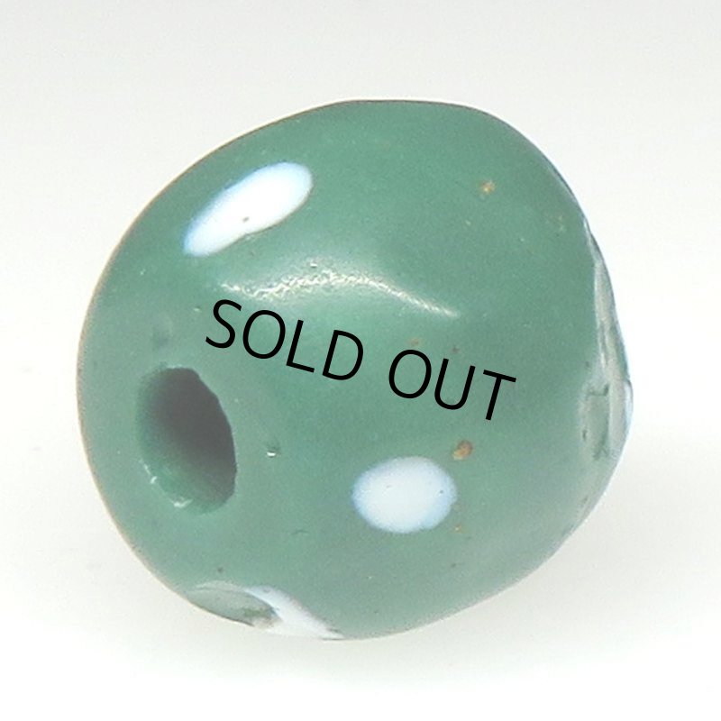 画像4: グリーンスカンク (4)