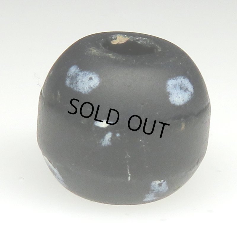 画像2: フレンチスカンク黒 (2)