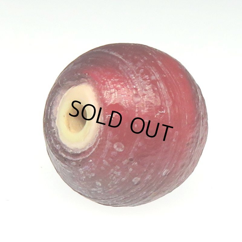 画像4: 血赤大型ホワイトハーツ (4)