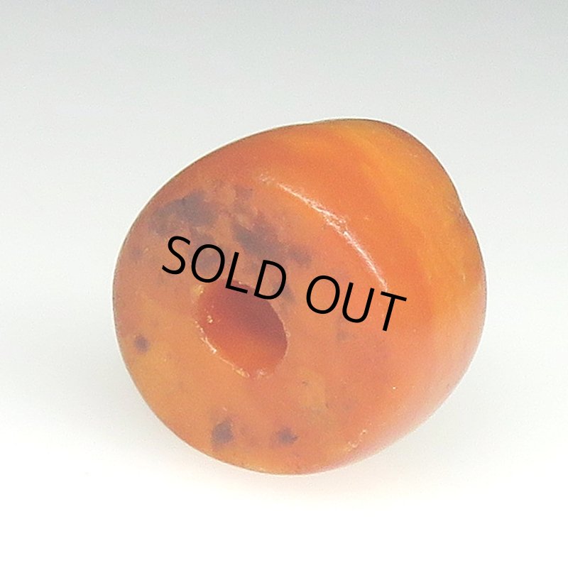 画像5: アフリカ本琥珀 (5)