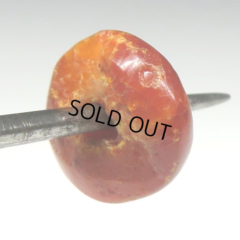 画像4: アフリカ本琥珀 (4)