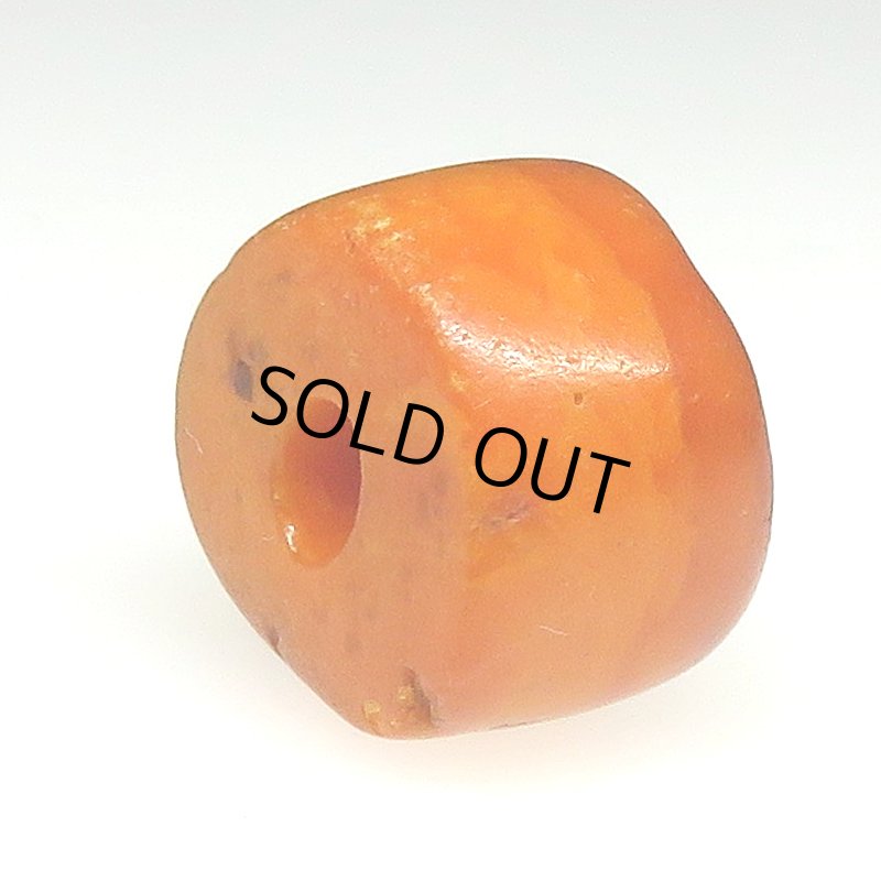 画像4: アフリカ本琥珀 (4)