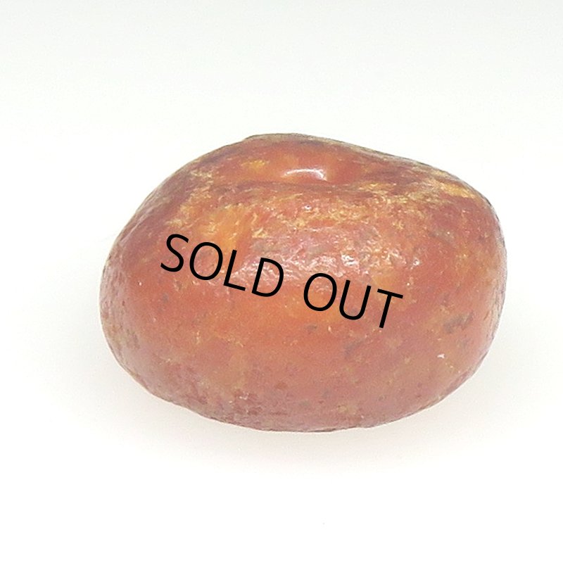 画像2: アフリカ本琥珀 (2)