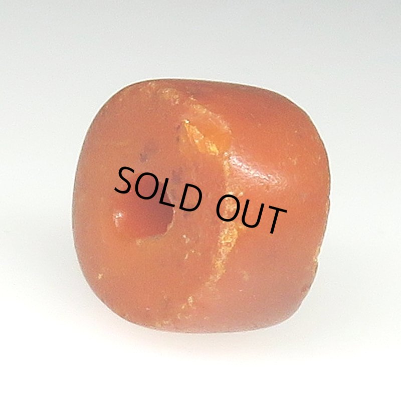 画像4: アフリカ本琥珀 (4)