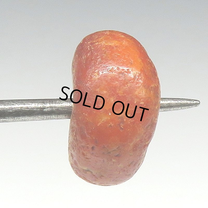 画像3: アフリカ本琥珀 (3)