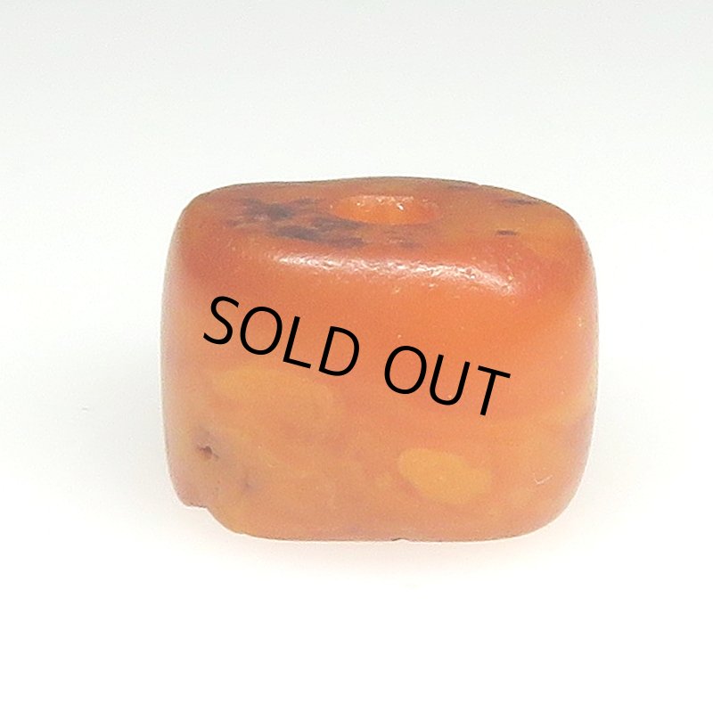 画像2: アフリカ本琥珀 (2)