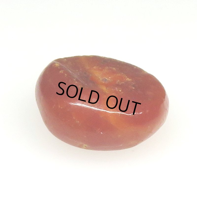 画像2: アフリカ本琥珀 (2)