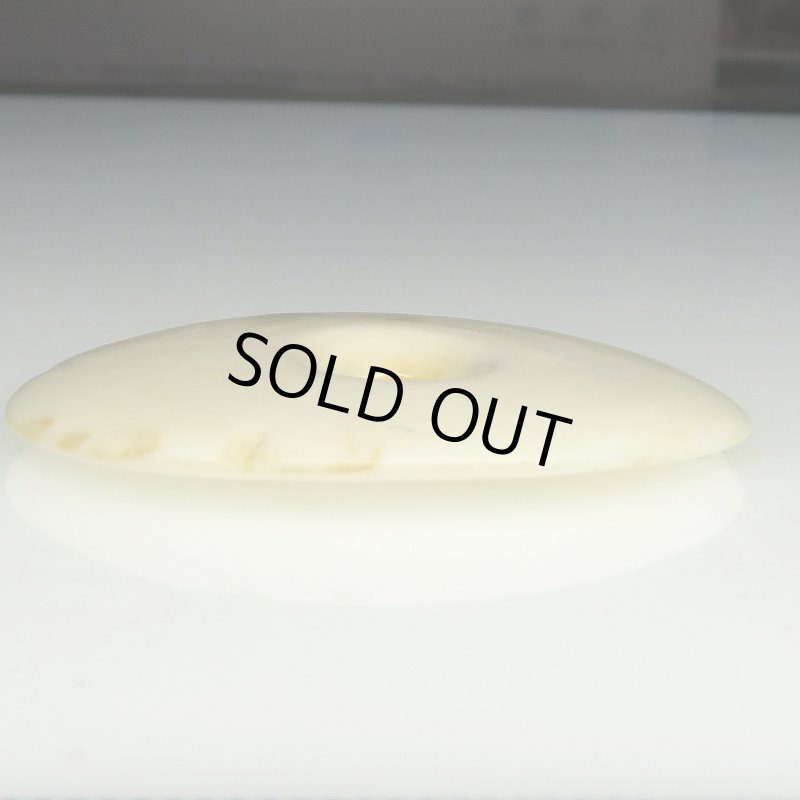 画像3: アフリカ伝世貝ビーズ (3)