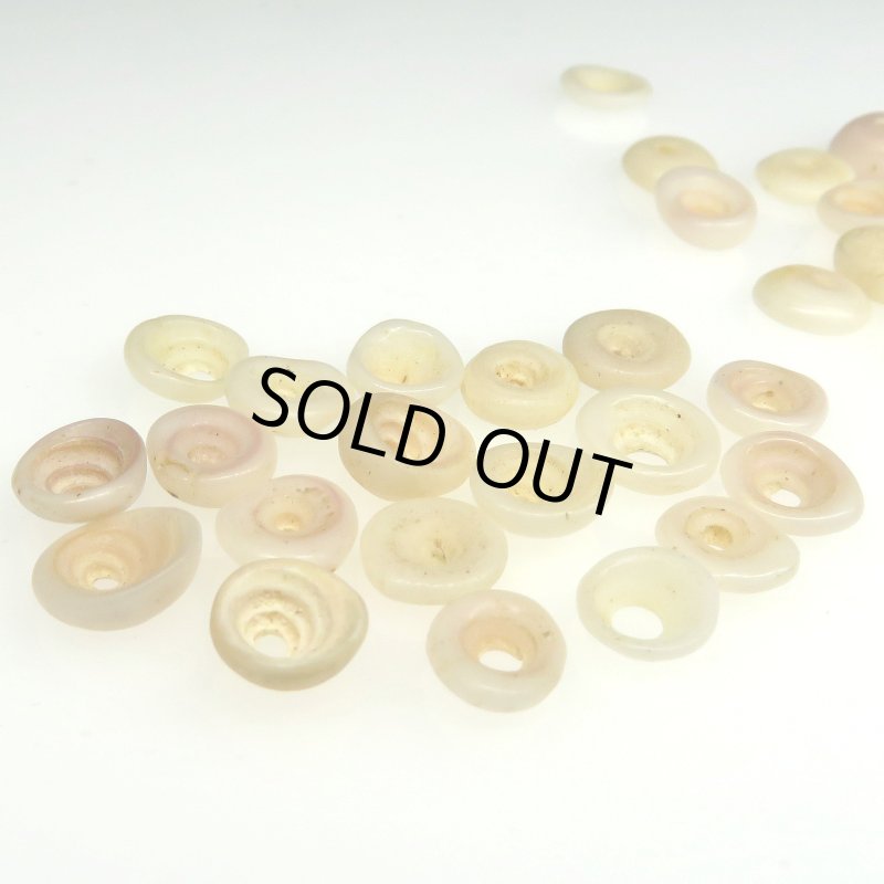 画像3: アフリカ伝世貝ビーズ (3)