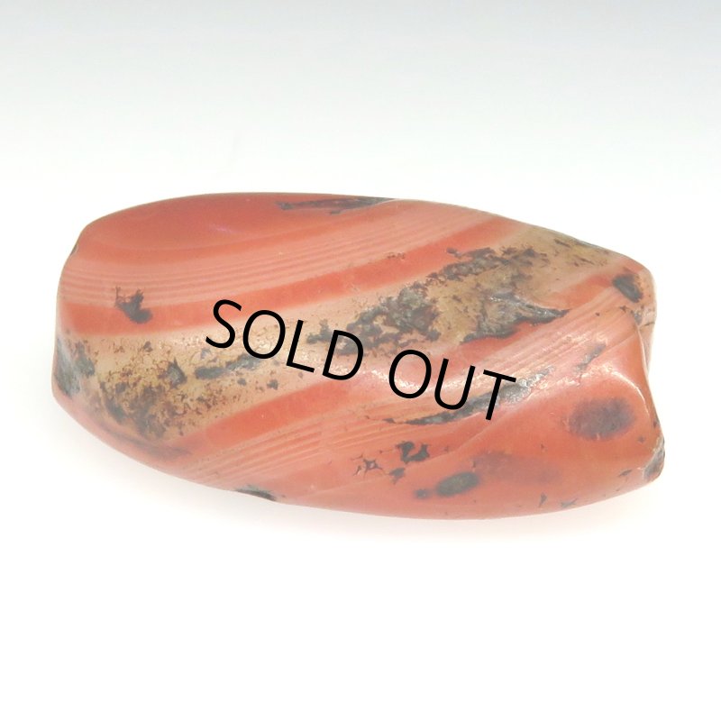 画像2: ペマラカ (2)