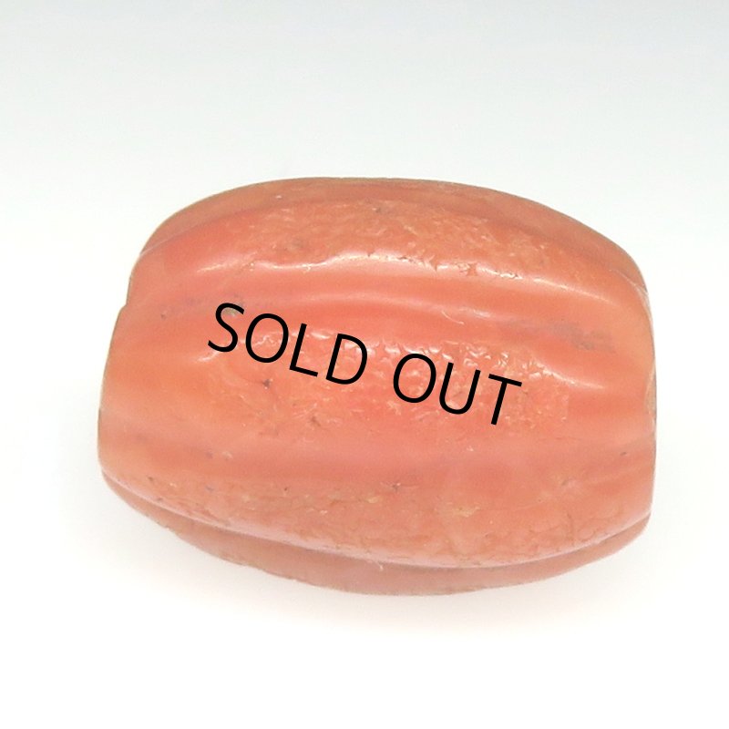 画像2: ペマラカ (2)