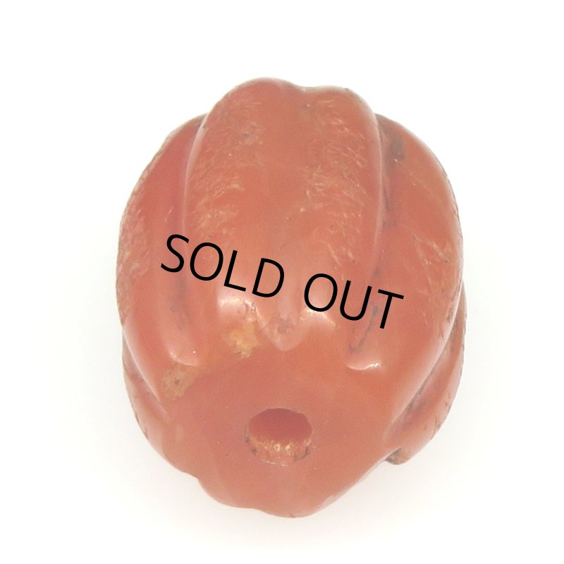 画像3: ペマラカ (3)