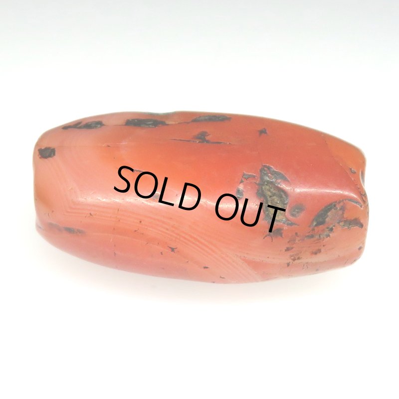 画像3: ペマラカ (3)