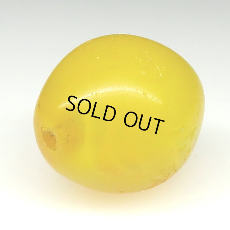 画像4: エチオピアンチェリー 黄色大 (4)