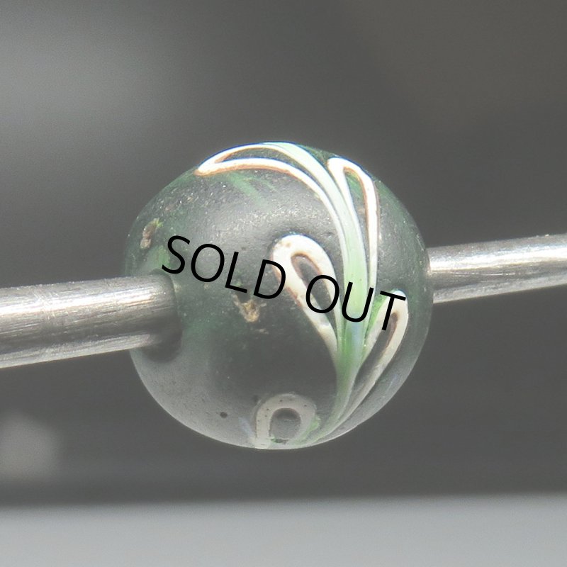 画像5: 美スクイッグル深緑クリア (5)