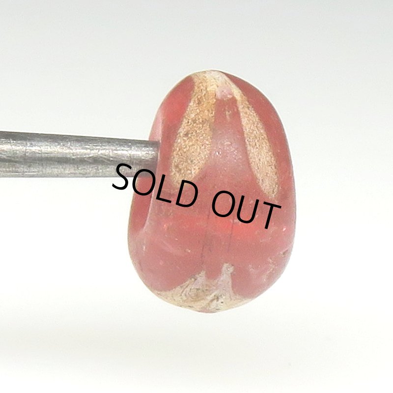 画像4: スクイッグル レッドクリア (4)