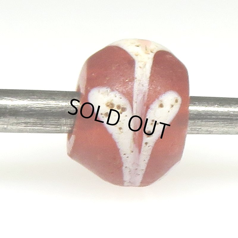 画像4: スクイッグル レッドクリア (4)