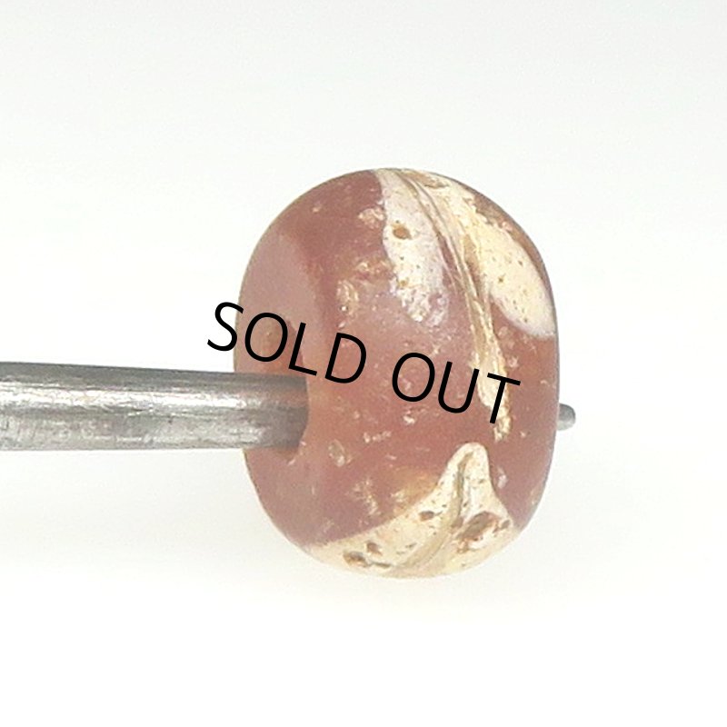 画像3: スクイッグル レッドクリア (3)