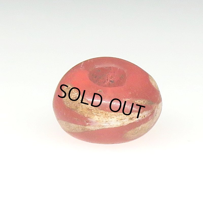 画像2: スクイッグル レッドクリア (2)