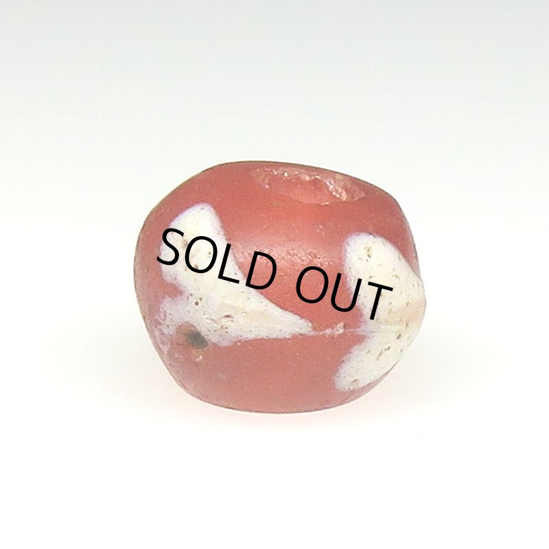 画像2: スクイッグル レッドクリア (2)