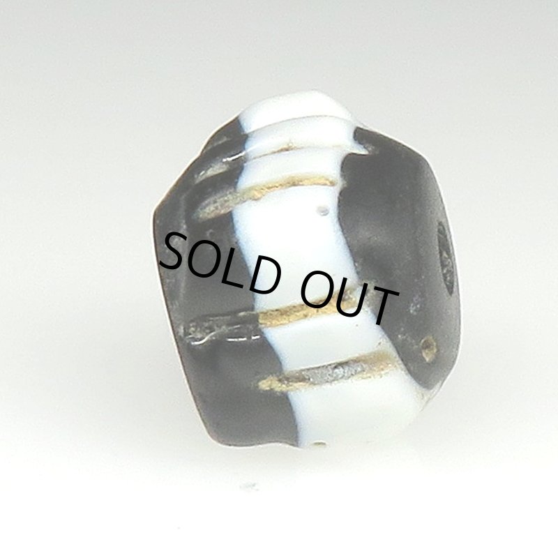 画像3: ドッグトゥース (3)