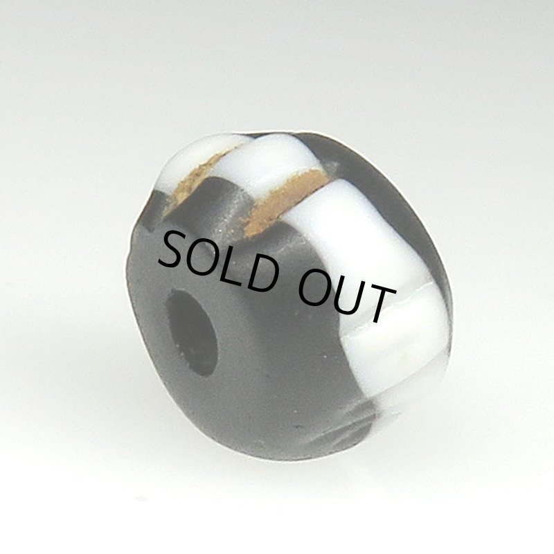 画像4: ドッグトゥース (4)