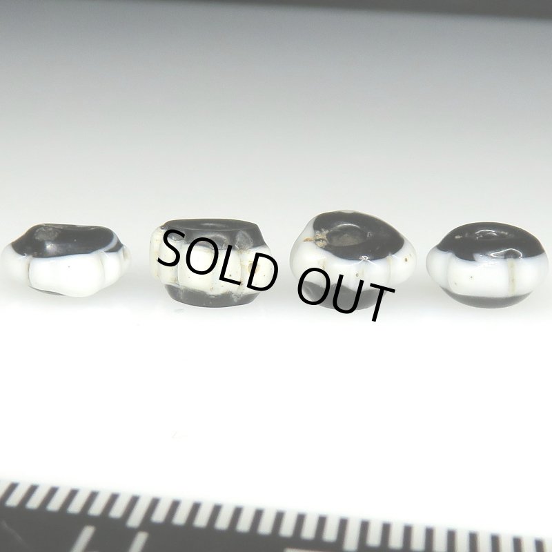 画像2: ドッグトゥース 4個セット (2)