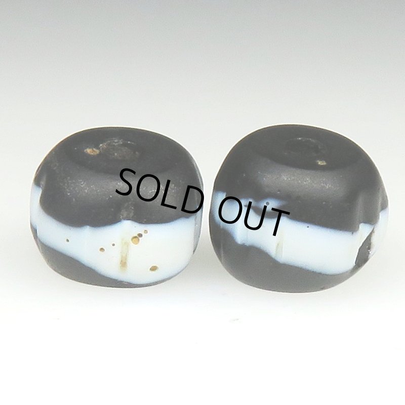 画像2: ドッグトゥース 2個セット (2)