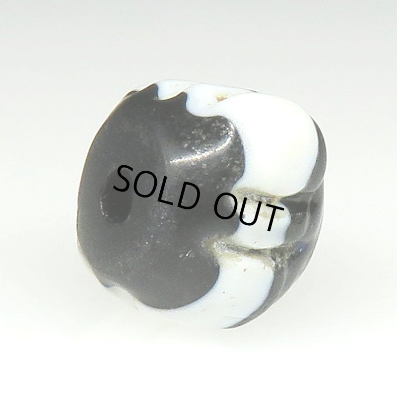 画像4: ドッグトゥース (4)