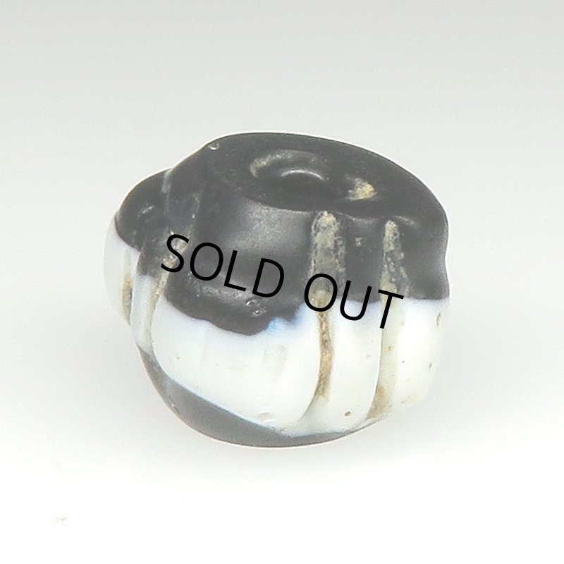 画像2: ドッグトゥース (2)