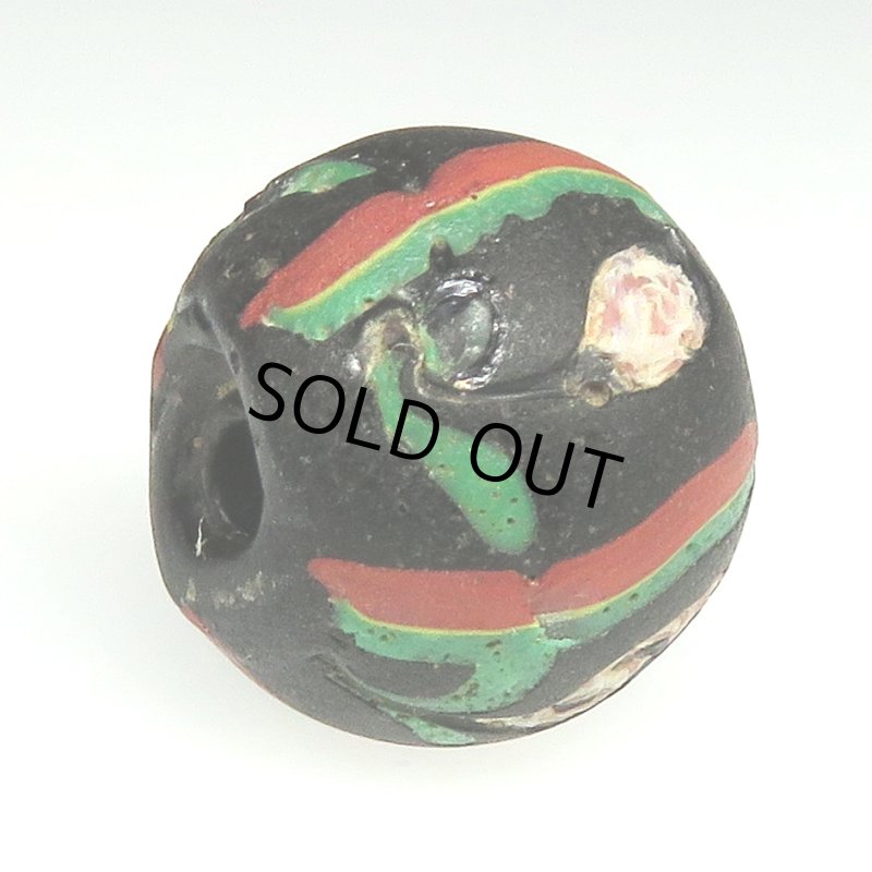 画像4: 白い薔薇 (4)