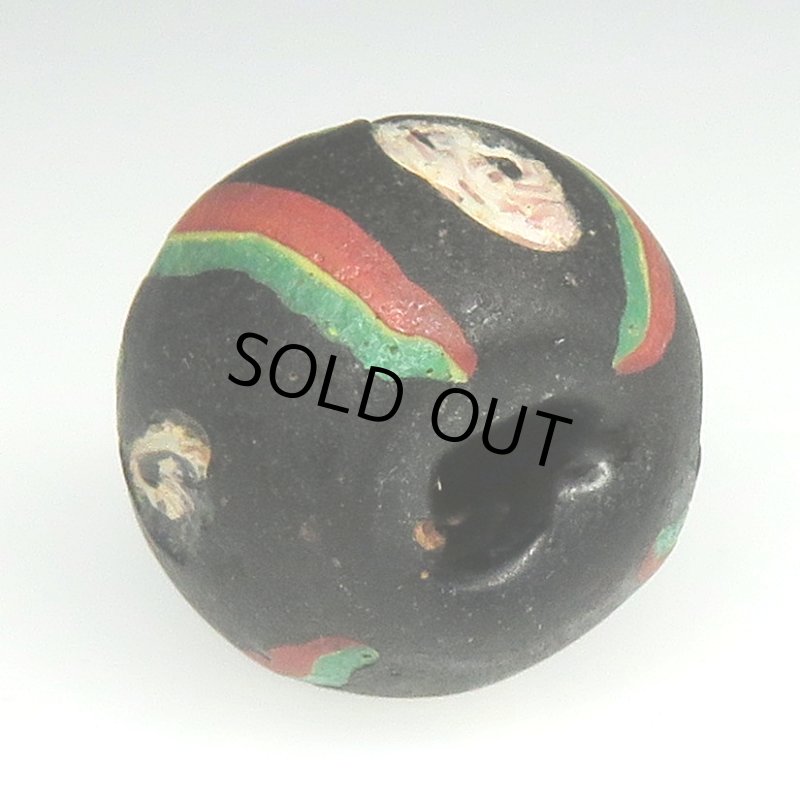 画像5: 白い薔薇 (5)