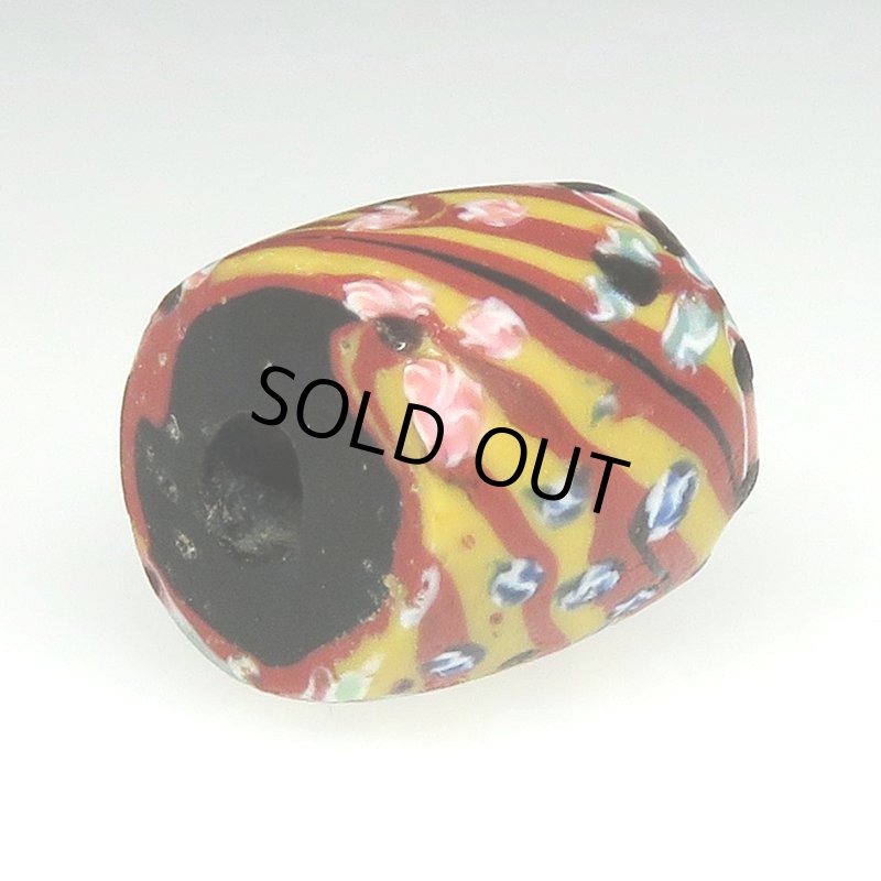 画像4: 忘れな草 (4)