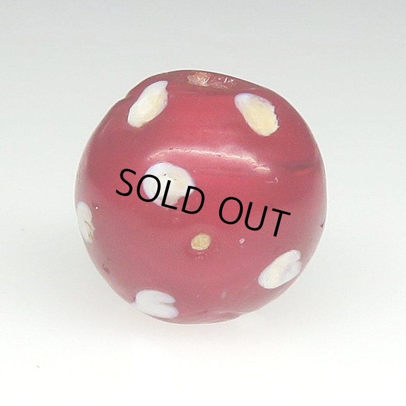 画像1: 濃赤のレッドスカンク (1)