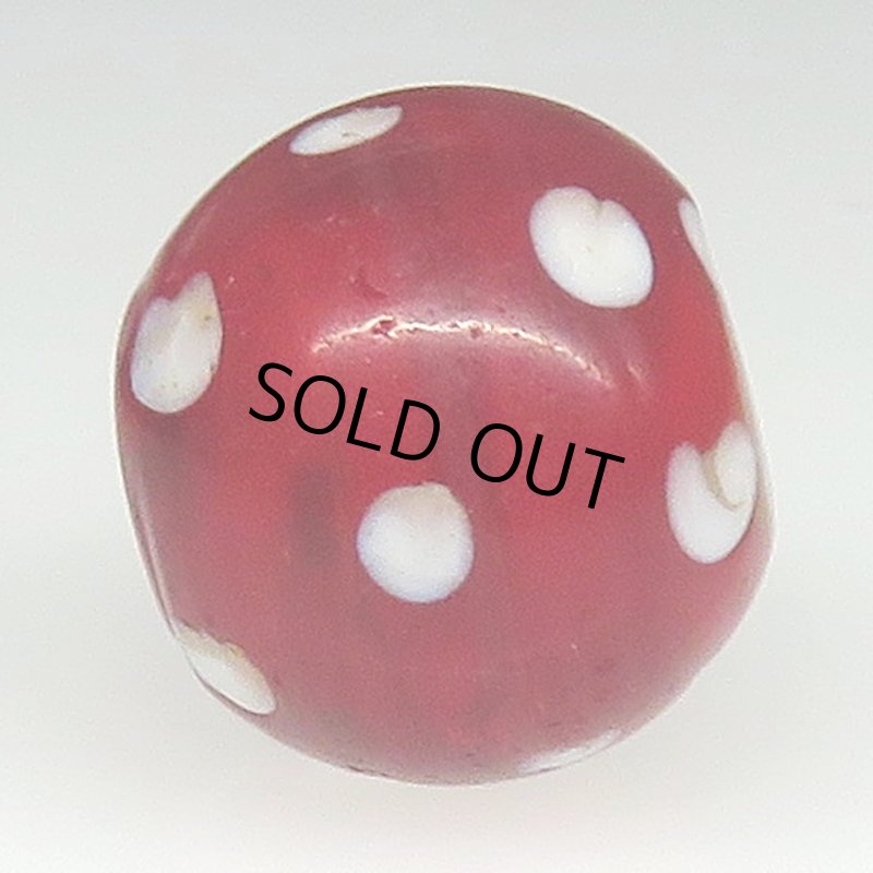 画像3: 濃赤のレッドスカンク (3)