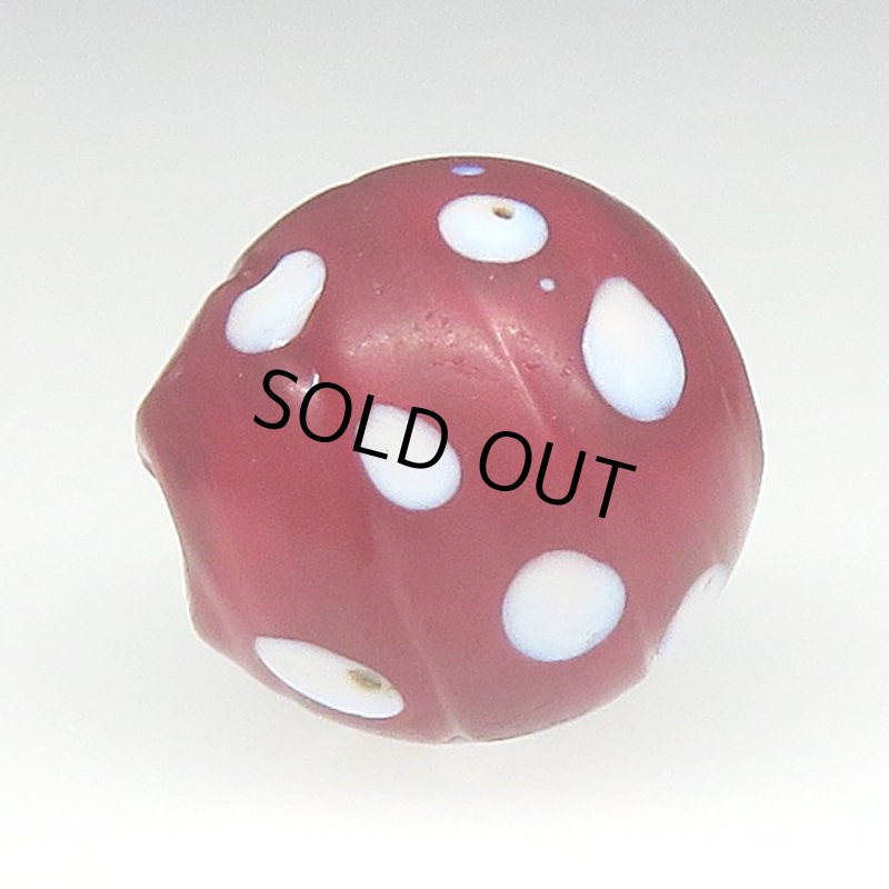 画像3: 美血赤のレッドスカンク (3)