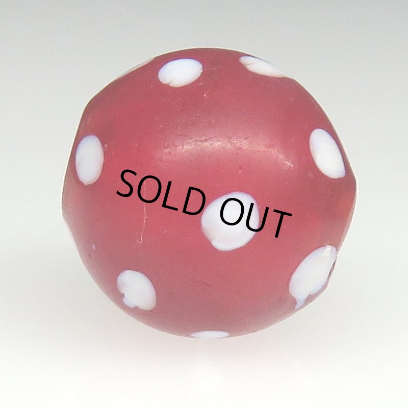 画像3: 美濃赤のレッドスカンク (3)